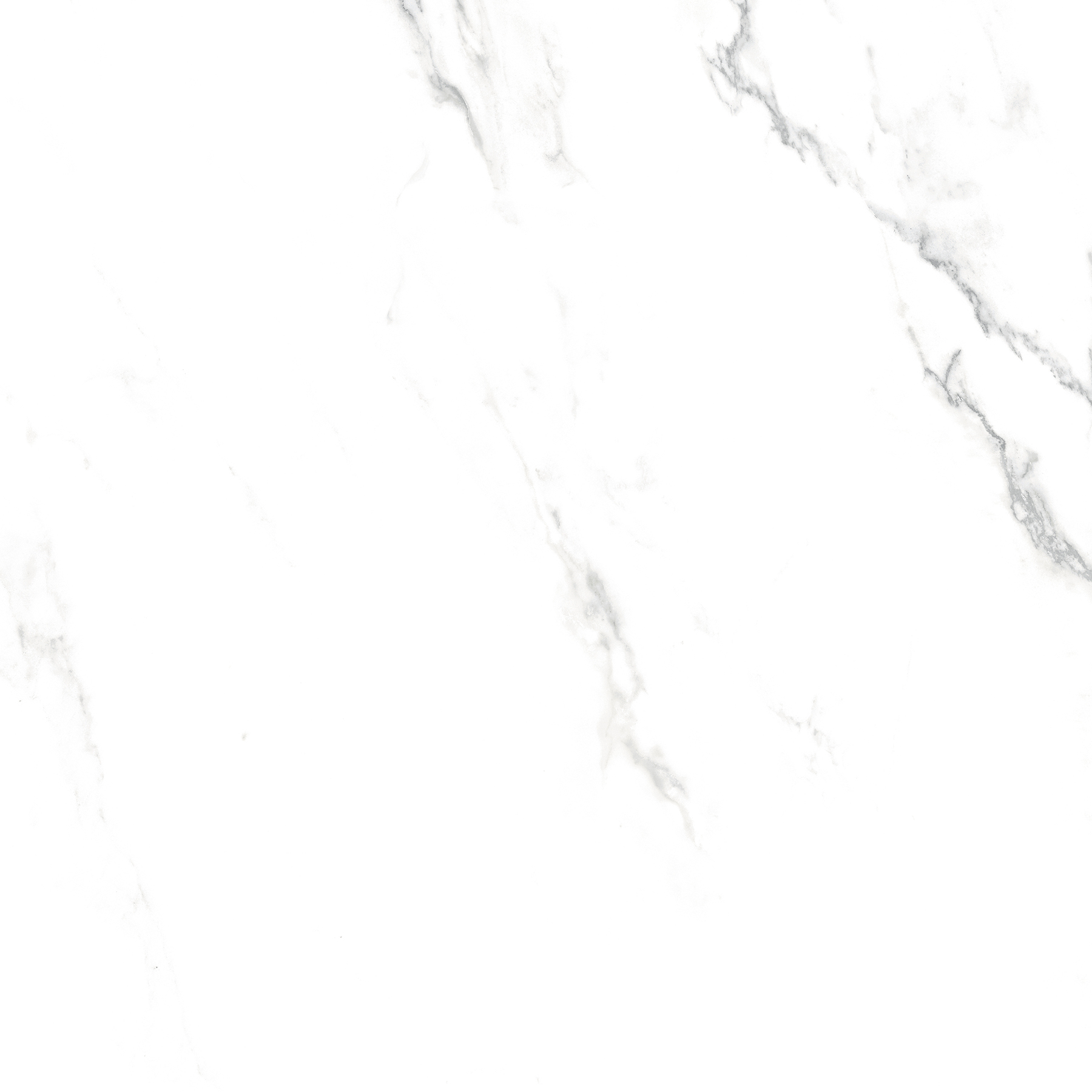 Statuario White Porcelain 120x120cm / 48