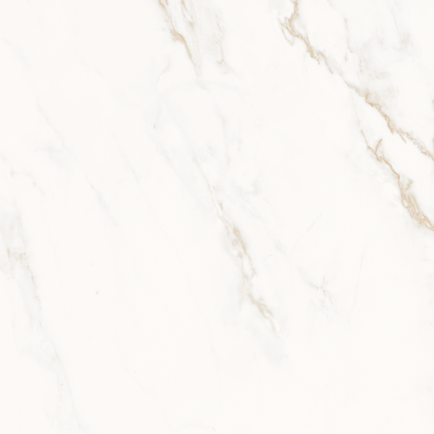 Gold Statuario Porcelain Tile 120x120cm / 48