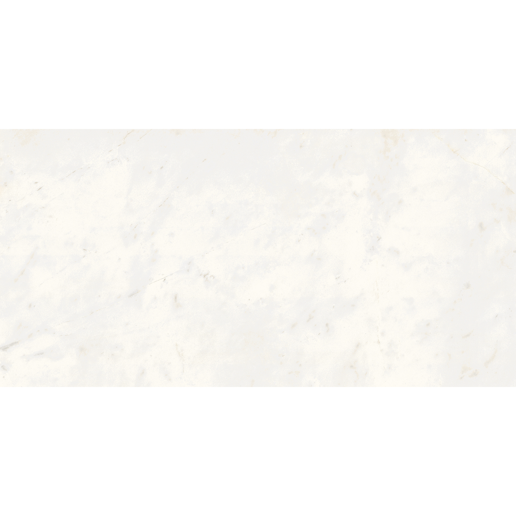 Trevi White Porcelain Tile 24